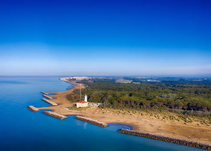 House With Garden And Fireplace